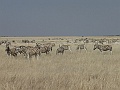 NAMIIA 2011 180